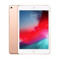 iPad mini Wi-Fi 256GB - Gold