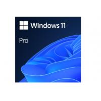 Windows OEM 11 Pro 64Bit İngilizce