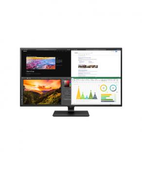 LG 42.5'' 43UN700  4K UHD DP IPS Oyun Monitörü