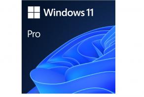 Windows OEM 11 Pro 64Bit Türkçe