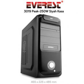 Everest 3019A Peak-250W Siyah Kasa